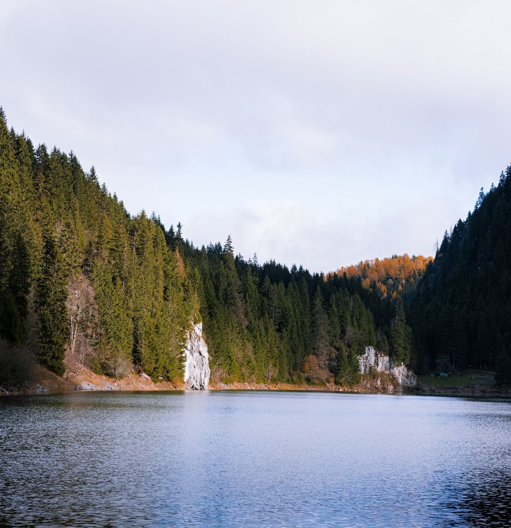image10